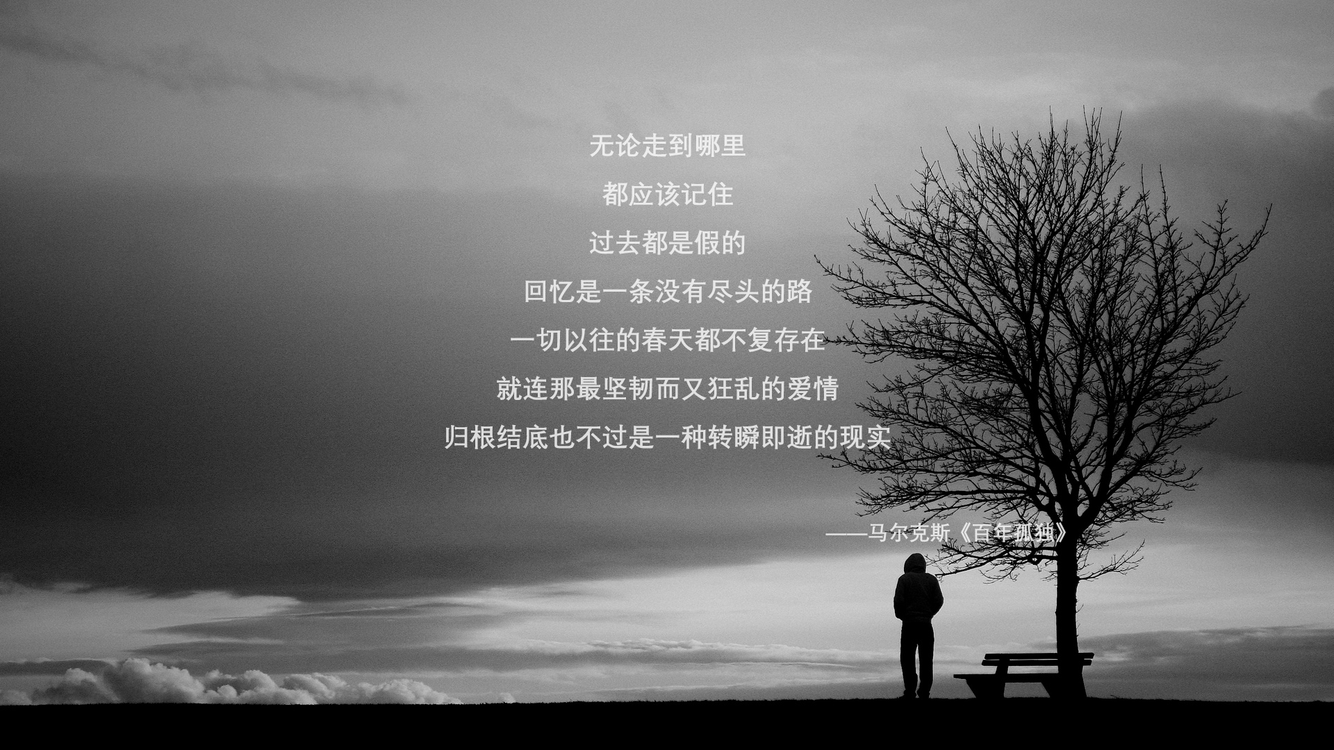 特色青训基地引入国际优秀教练，打造高水平人才培养体系，青训学校