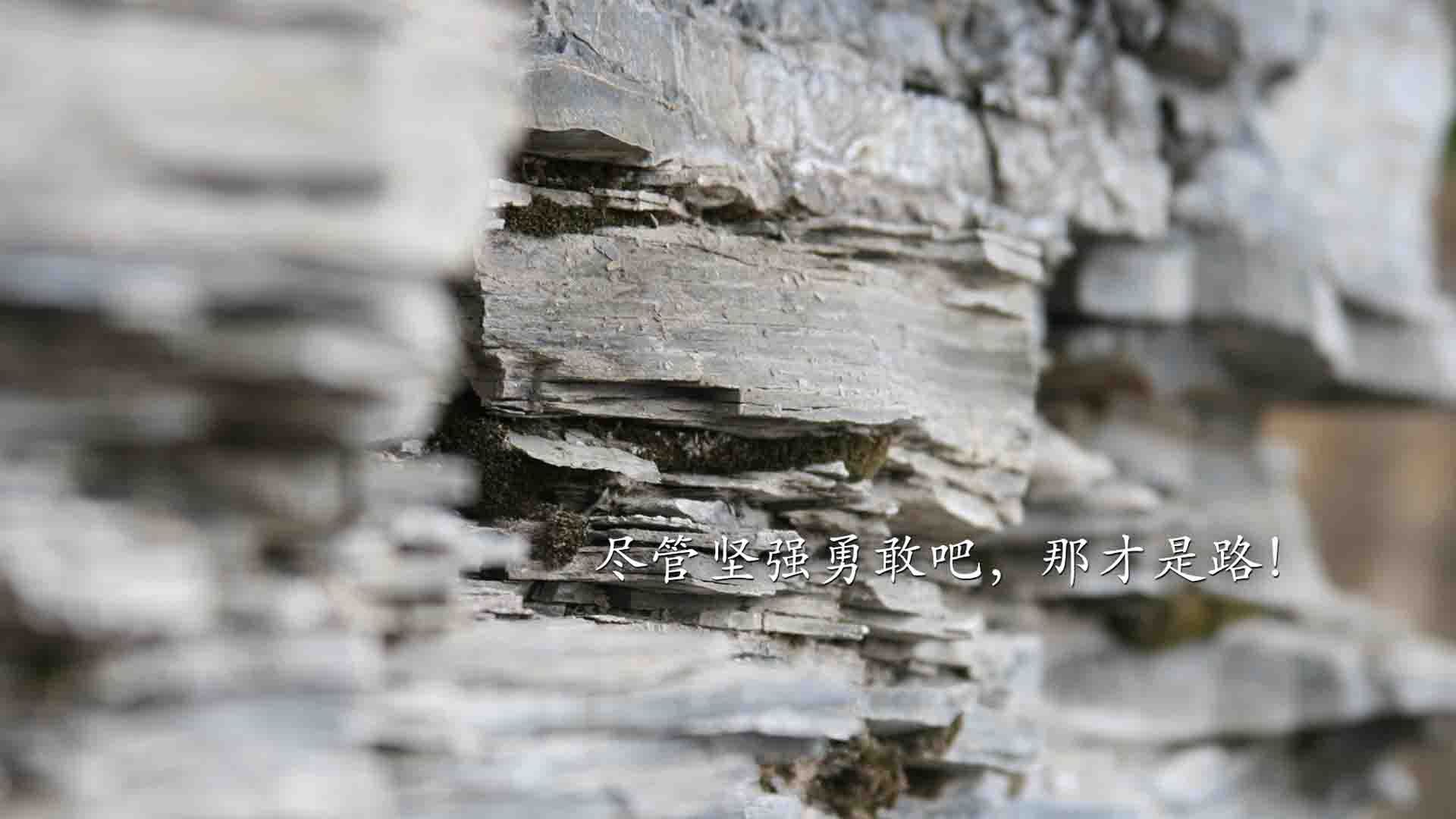 王者荣耀 战队教练策略调整奏效，gog王者荣耀战队教练