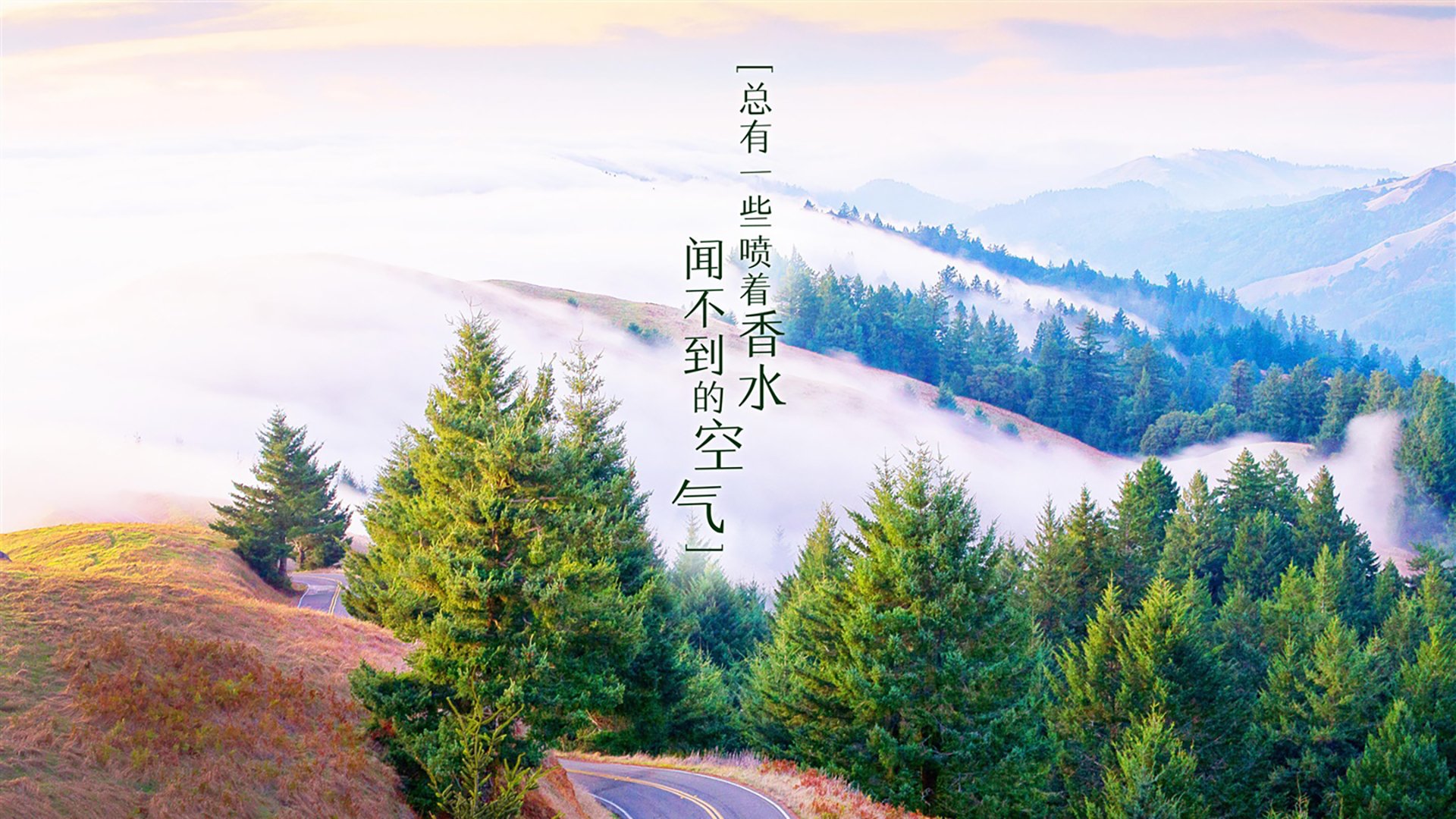 爱游戏-英超比赛数据探索，控球成功率上升背后的战术布局分析，英超最新用球