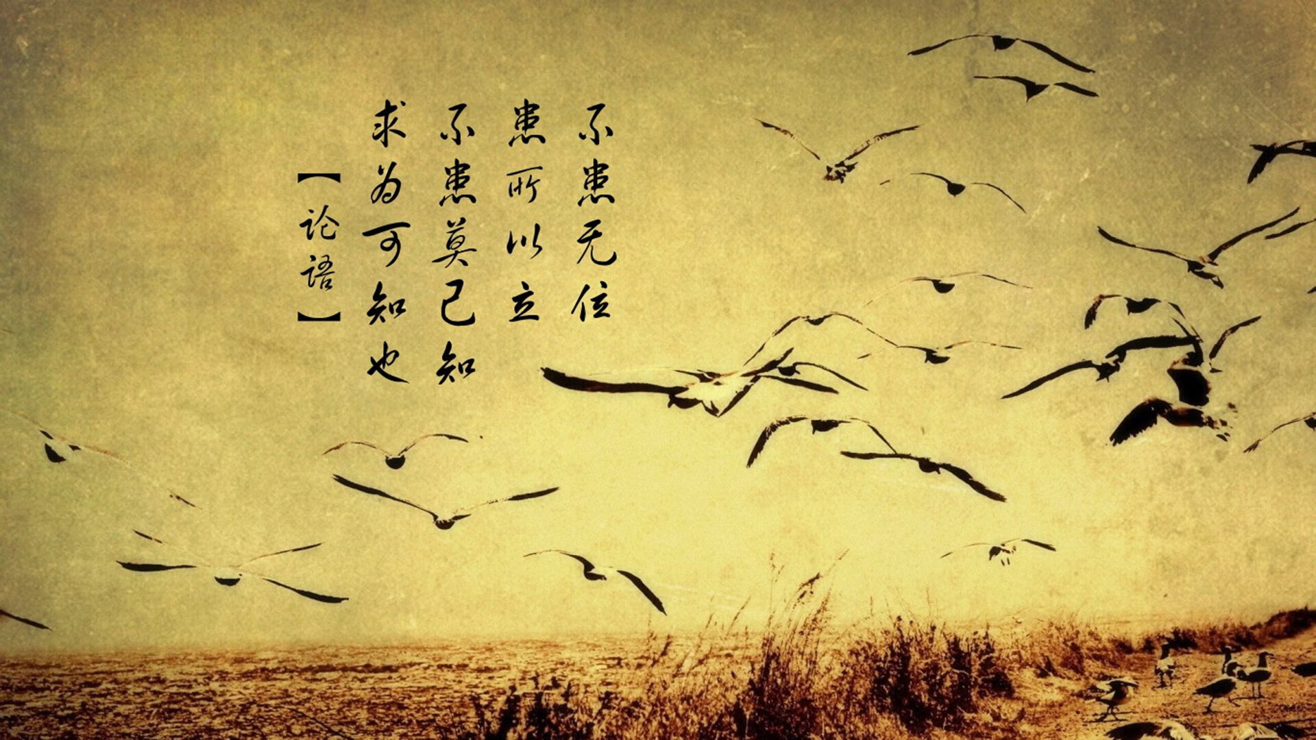 中国篮球联赛裁判员职业培训体系建设及优化，关于举办篮球裁判员培训班的通知