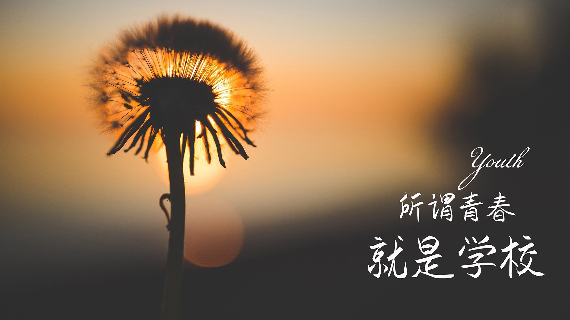 篮球专项体能训练恢复技术研究应用,篮球队体能恢复训练