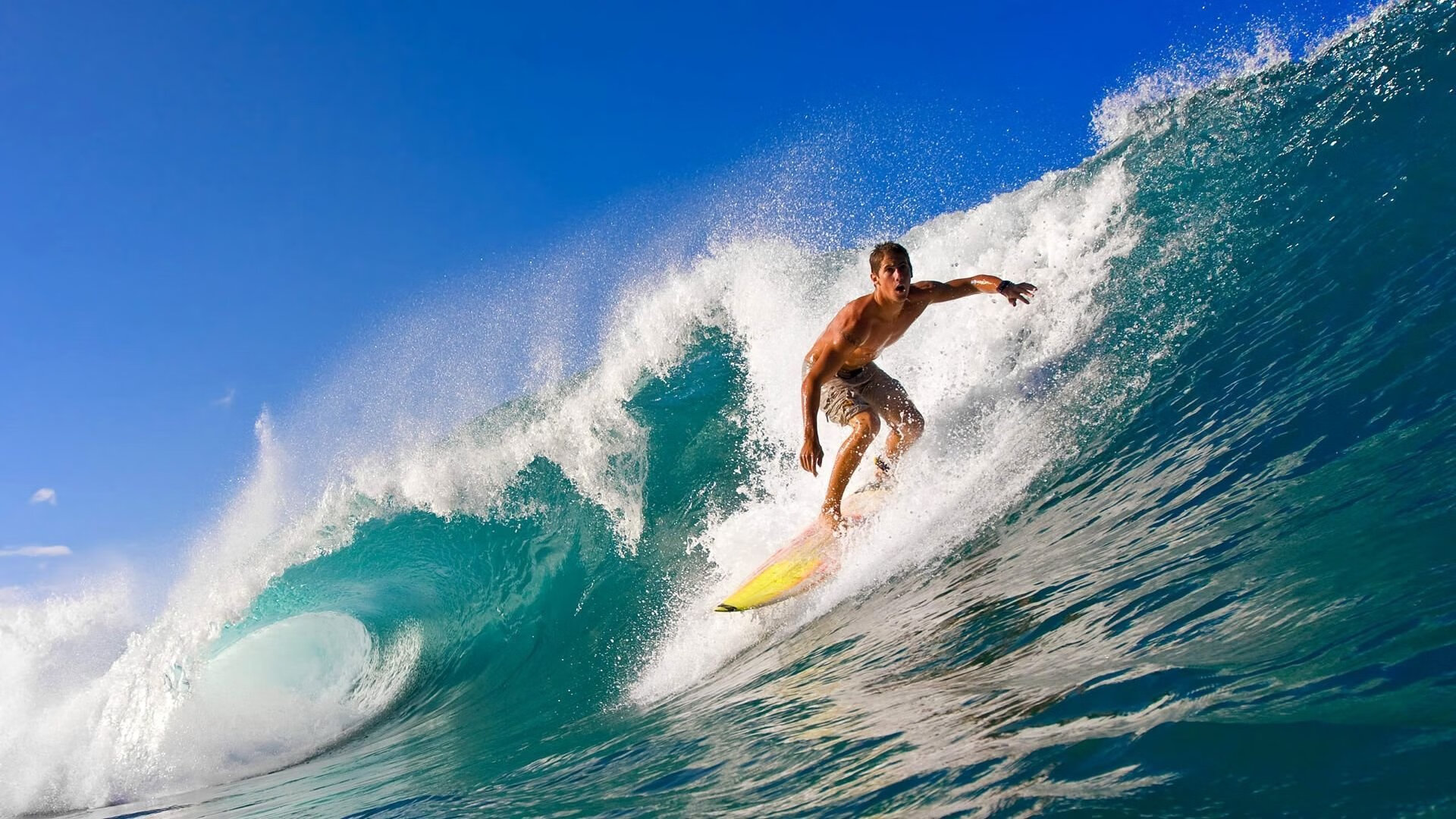 _绿色制动力滑板:环保出行新选择_,绿色动力是什么板块